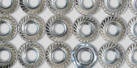 WhatsApp Image 2025-09-09 at 6.40.49 PM