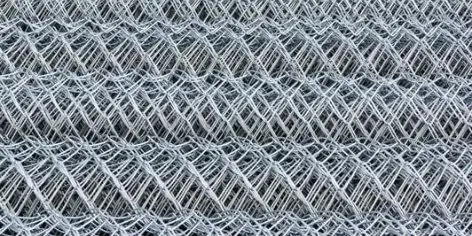 WhatsApp Image 2025-09-10 at 11.52.42 AM (2)