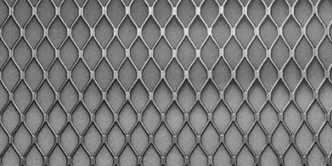 WhatsApp Image 2025-09-10 at 11.52.42 AM