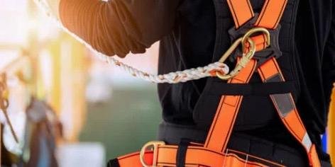 WhatsApp Image 2025-09-14 at 7.42.24 AM