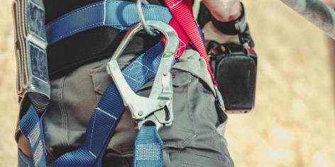 WhatsApp Image 2025-09-14 at 7.42.25 AM