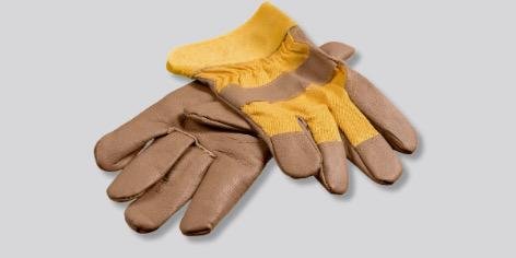 WhatsApp Image 2025-09-14 at 7.42.29 AM