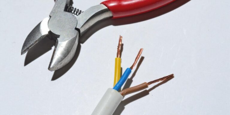 WhatsApp Image 2025-09-19 at 12.56.25 PM (1)