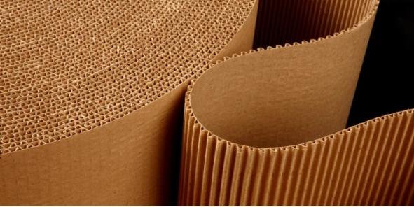 WhatsApp Image 2025-09-21 at 8.30.35 PM (1)