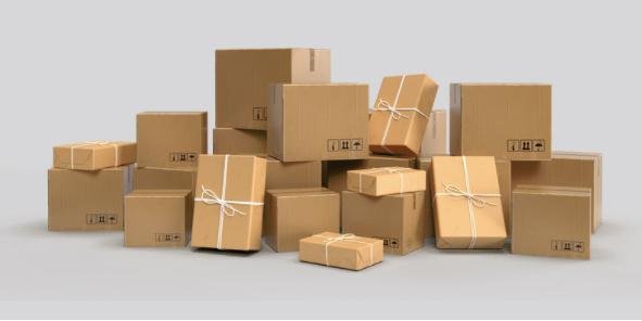 WhatsApp Image 2025-09-21 at 8.30.35 PM