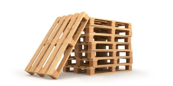 WhatsApp Image 2025-09-21 at 8.30.36 PM (17)