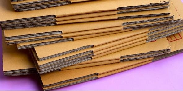 WhatsApp Image 2025-09-21 at 8.30.36 PM